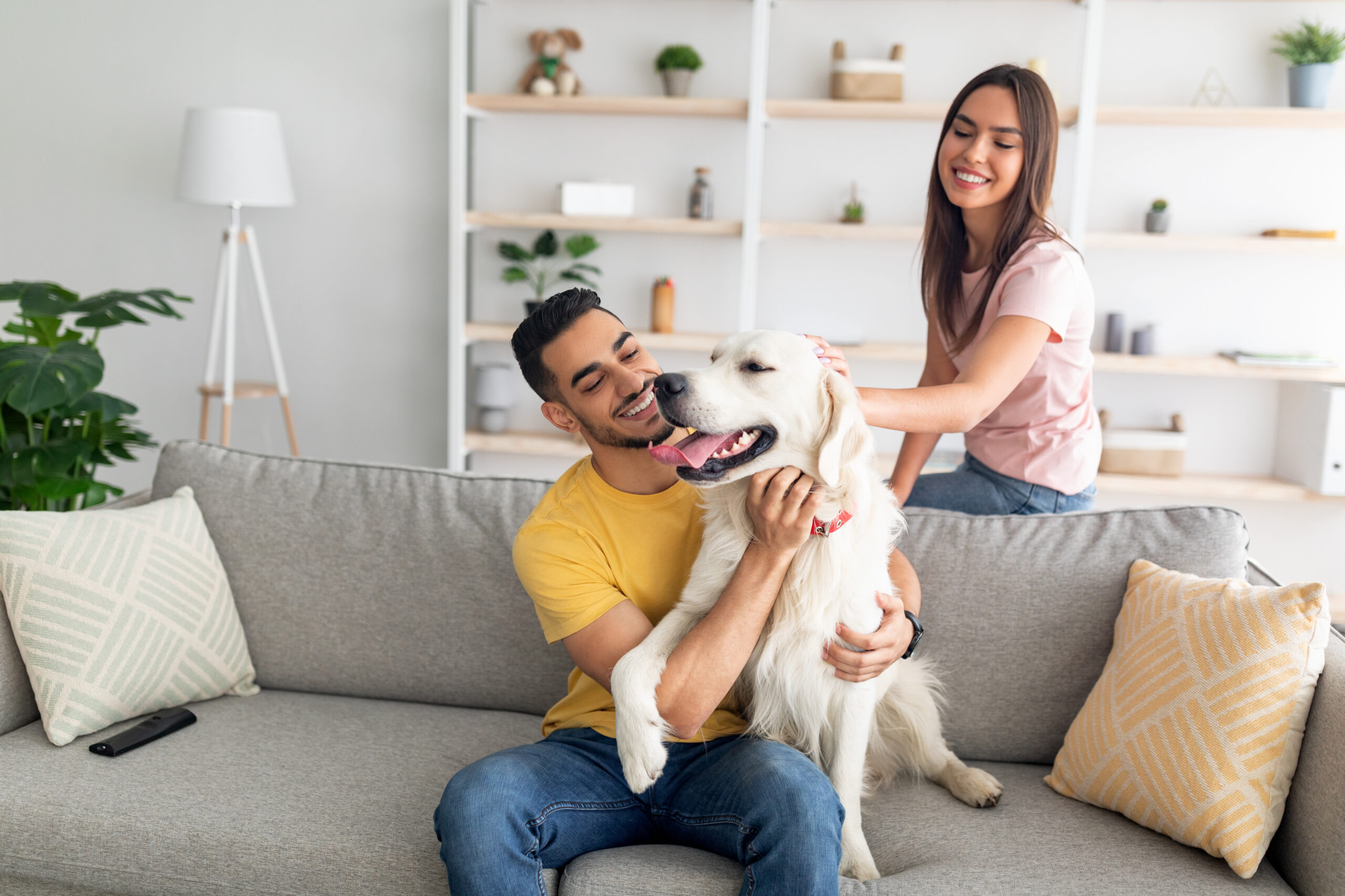 Joyful young diverse couple stroking their cute dog on couch at home, empty space Joyful young diverse couple stroking their cute dog on couch at home, empty space. Positive multiracial spouses playing with cute pet on couch, spending time together indoors