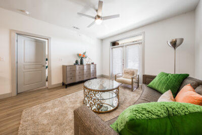 Amara at the Rim Model Living Room