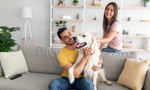 Joyful young diverse couple stroking their cute dog on couch at home, empty space. Positive multiracial spouses playing with cute pet on couch, spending time together indoors